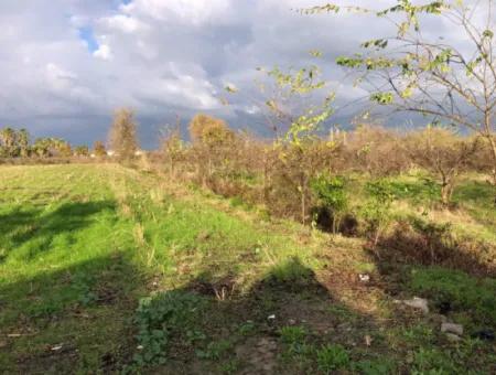 Dalyan Land For Sale Near The Center 3000M2 5% Zoning Land For Sale