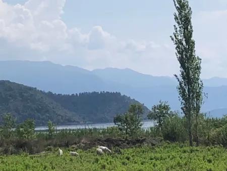 Sultaniye Sultaniye Koycegiz Lake Plot For Sale For Sale In By The Sea