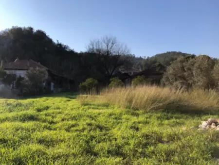 777M2 Land For Sale In Ula Sarayyanı