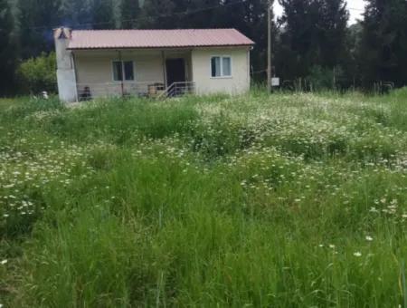 Land For Sale In Çamlida