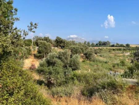 Land For Sale In Fevziye 1858M2 Land For Sale With Full Sea View