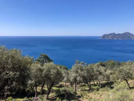 Land For Sale With Sea View In Çandir