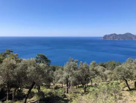 Land For Sale With Sea View In Çandir