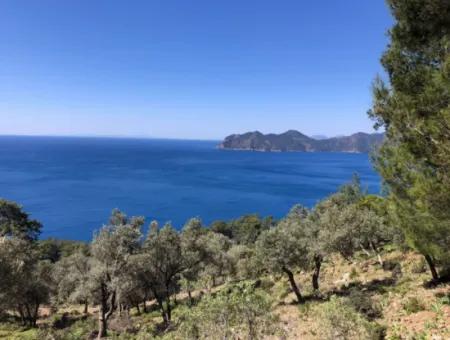 Land For Sale With Sea View In Çandir