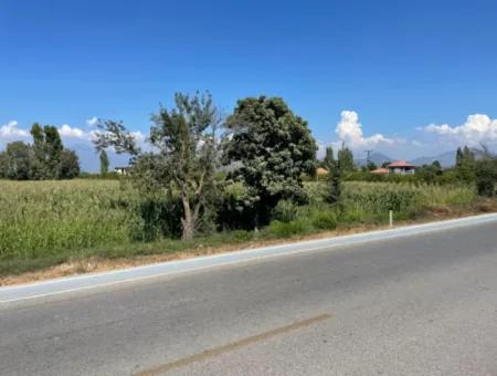 Dalyan Main Road Zero Land For Sale 8115M2 Commercial Land For Sale