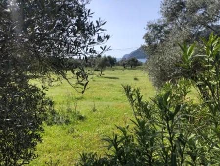 3250M2 Land For Sale In Ekincik With A View Near The Sea