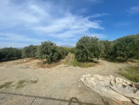 4000M2 Land For Sale Zoned In Village Built-Up Area In Tepearasin