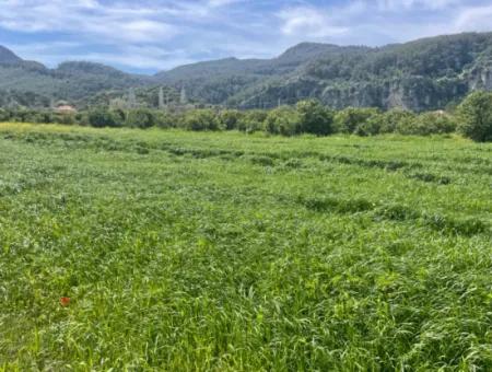 736M2 Land For Sale In Okçular