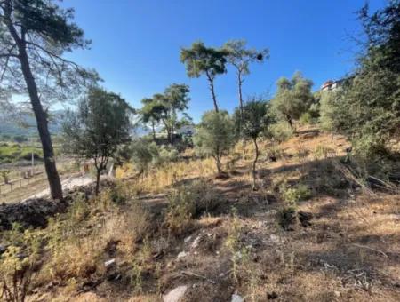 1,320M2 Field For Sale In Çandır Center By The Forest