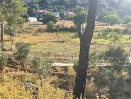 1,320M2 Field For Sale In Çandır Center By The Forest