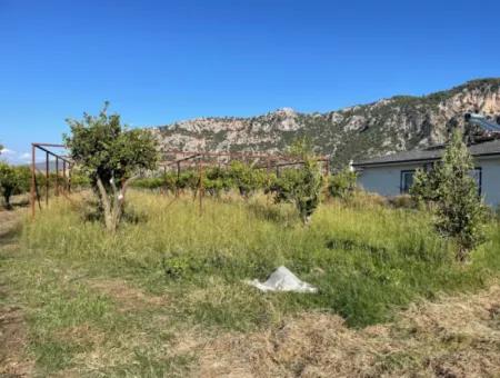 Land For Sale In Dalyan Close To The Center Of 6600M2