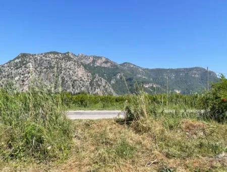 6,500M2 Field For Sale On The Iztuzu Road In Dalyan