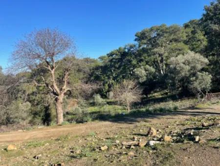 2B Land For Sale With Sea View In Çandır