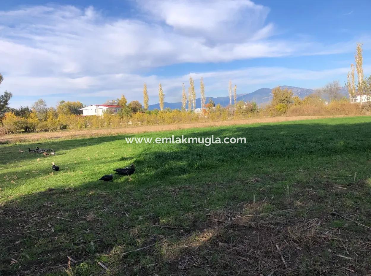 Dalyan'da 2540M2 Satılık Arsa