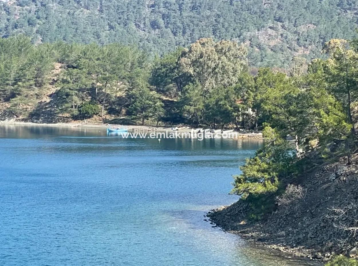 Sultaniye Büyükkaraç Mahallesin Satılık Tarla