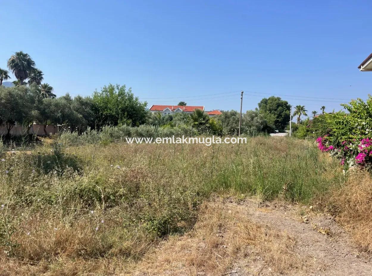 Dalyan Gülpınar 500M2 Satılık Arsa