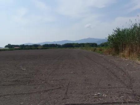 Eskiköyde Satılık Arsa Tarla Ortaca Dalyan Eskiköyde 15,760M2 Satlık Arsa Tarla