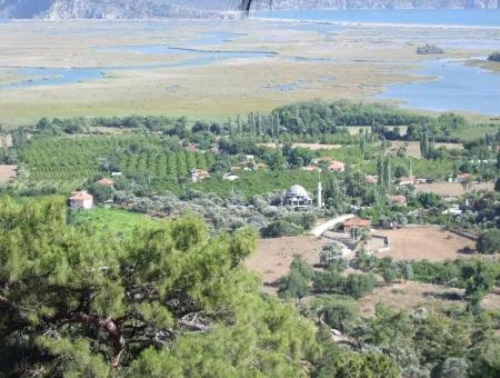 Çandır Satılık Arsa Deniz Manzaralı 6265 M2 Satılık Arsa