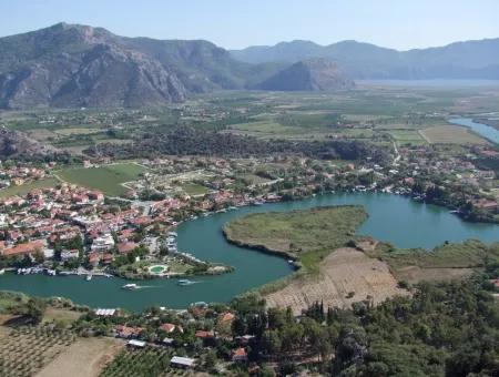 Dalyan Satılık Arsa Dalyan Maraşda 7300M2 %5 İmarlı Satılık Arsa