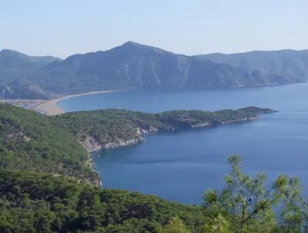 Ekincik Çandır Arasın'da Deniz Manzaralı Kelepir Emlak Satılık Arsa