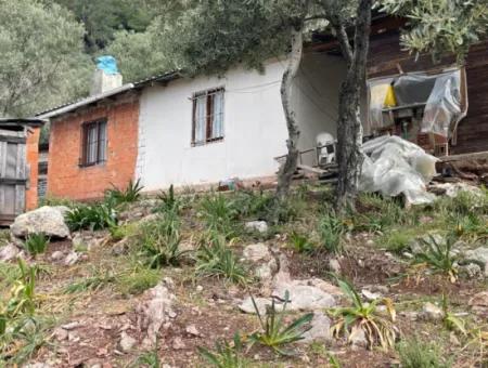 Ekincikde Deniz Manzaralı Zeytin Evi Satılıktır