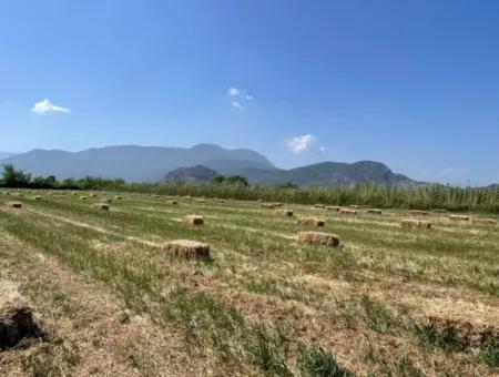 Dalyan'da İztuzu Yoluna Sıfır 6,500M2 Satılık Tarla