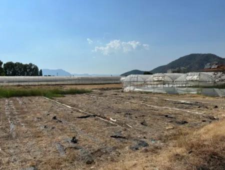 Ortaca Ekşiliyurt'ta 1462M2 İmarlı Satılık Arsa